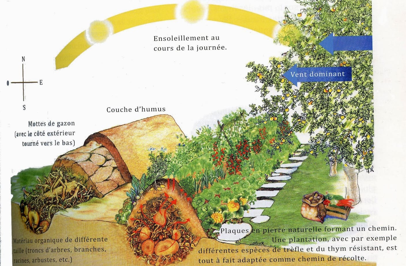 Permaculture: Réaliser Une Butte Auto-fertile En 4 étapes!