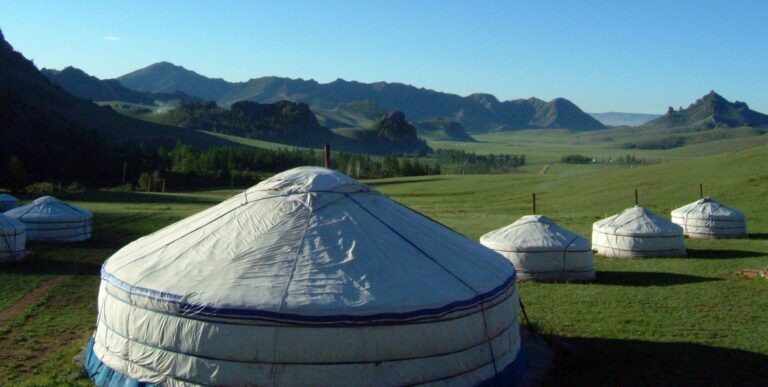 yourtes pleine nature